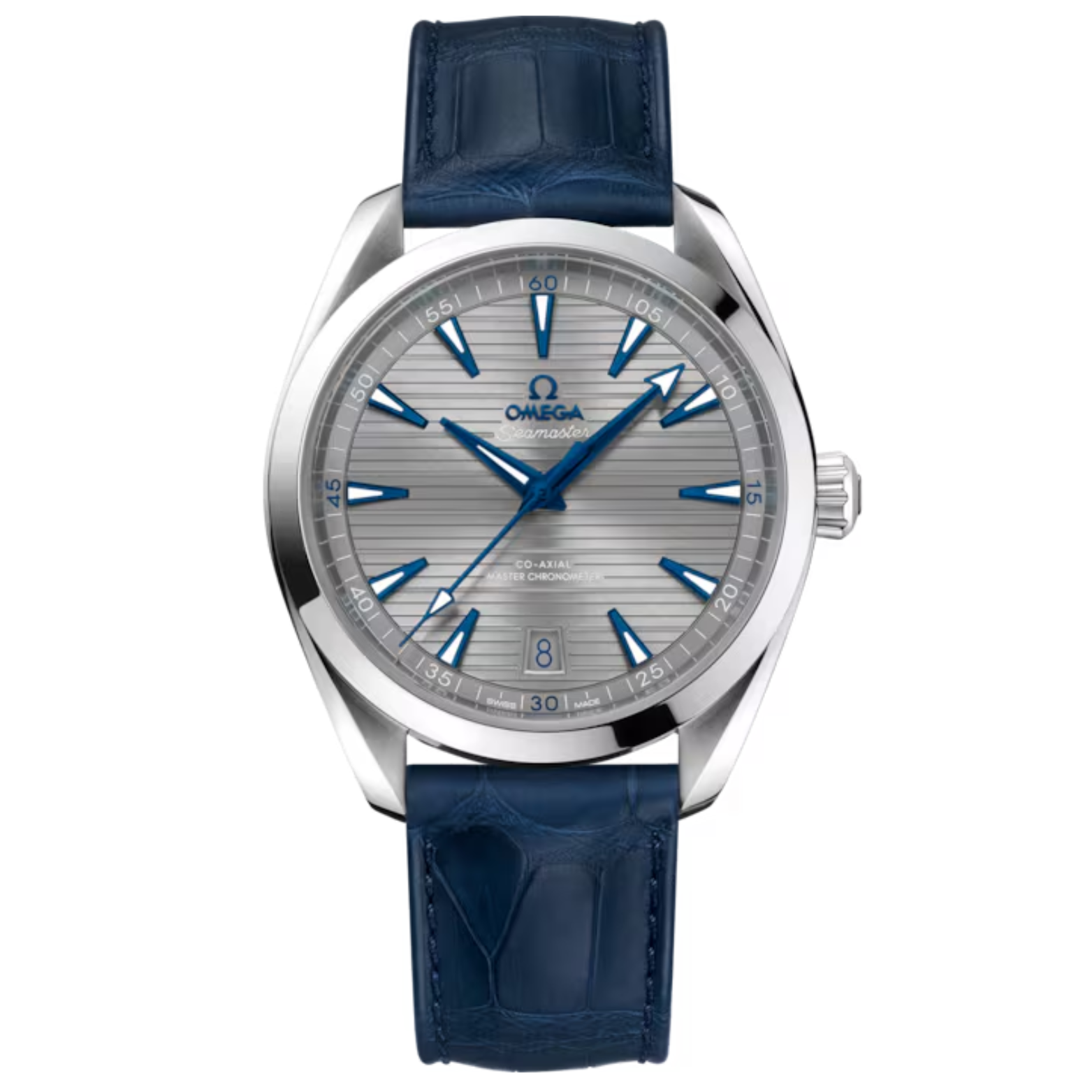 Omega Seamaster Aqua Terra 220.13.41.21.06.001