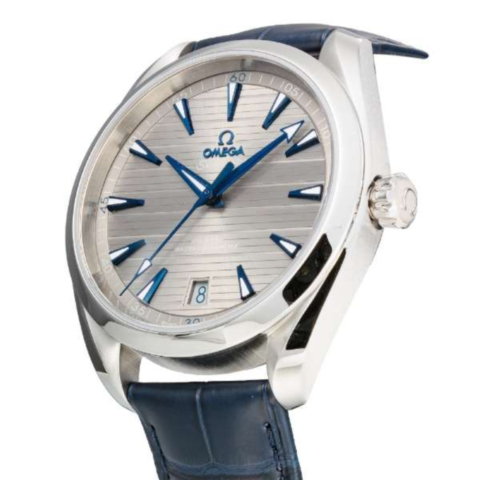 Omega Seamaster Aqua Terra 220.13.41.21.06.001