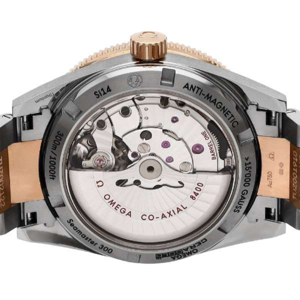 Omega Seamaster 300 MASTER CO‑AXIAL CHRONOMETER 233.60.41.21.03.001