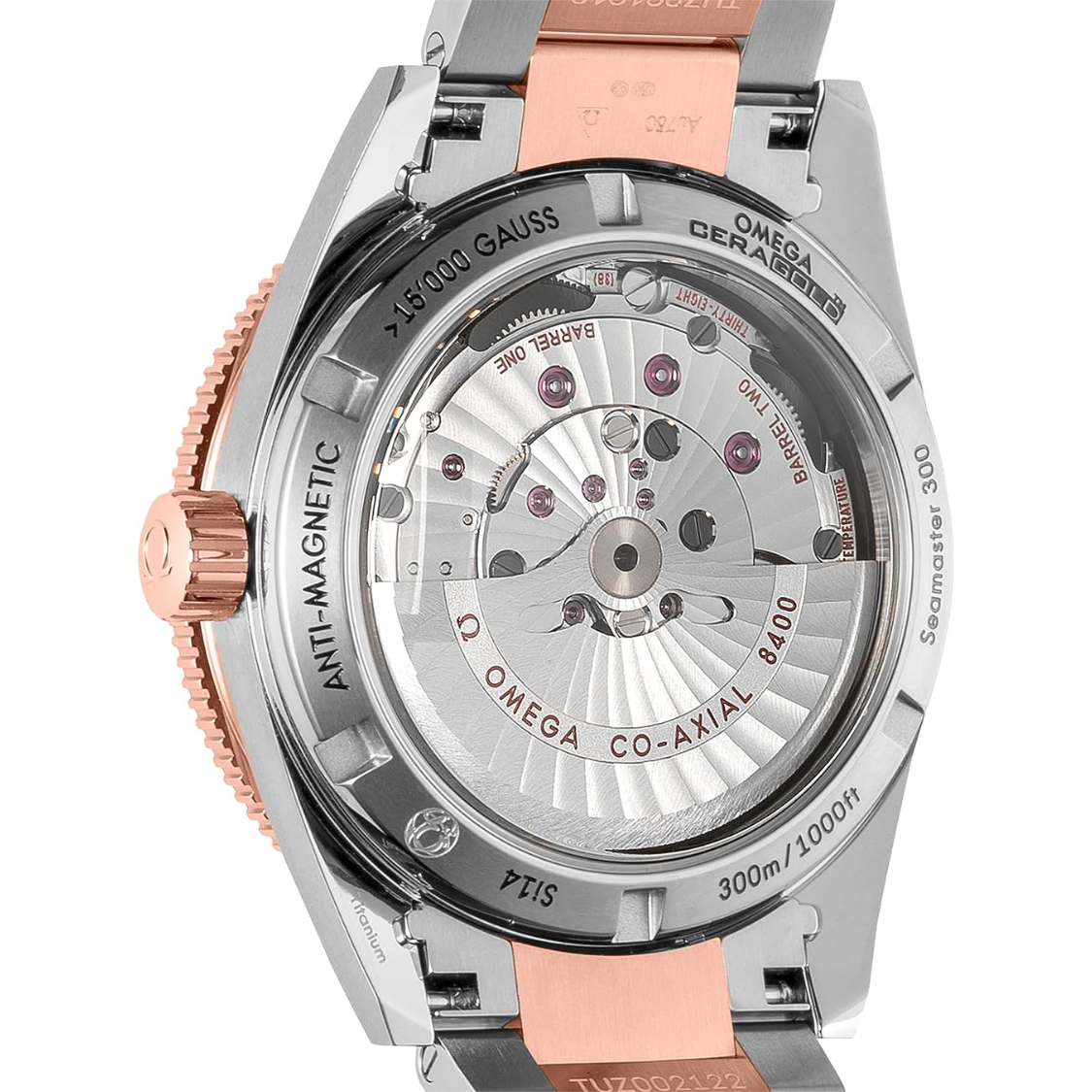 Omega Seamaster 300 233.20.41.21.01.001