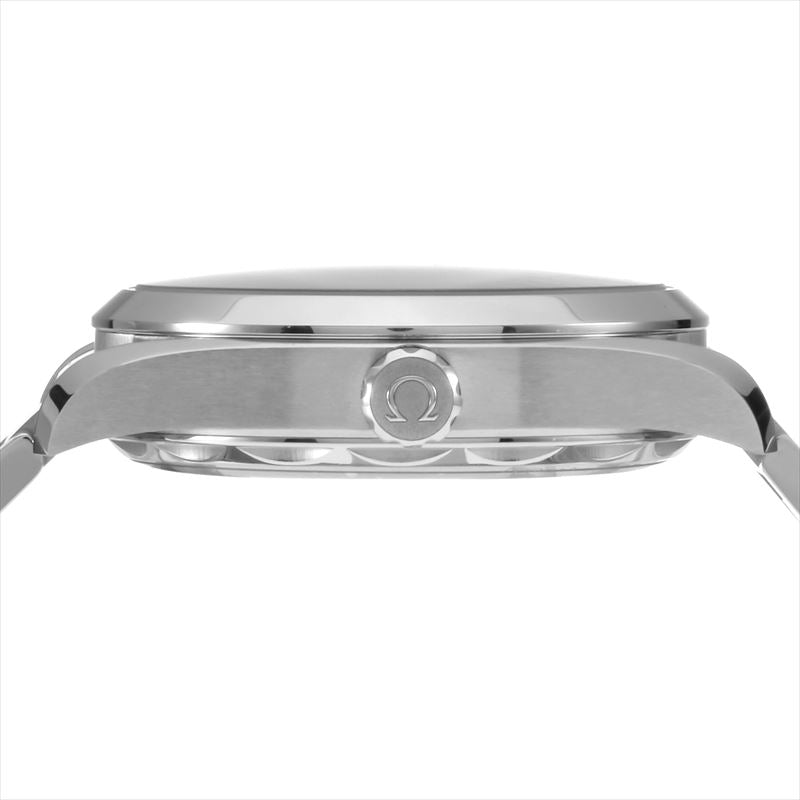 Omega Seamaster Aqua Terra 220.10.41.21.06.001