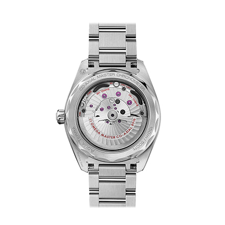 Omega SEAMASTER AQUA TERRA 150M CO‑AXIAL MASTER CHRONOMETER SMALL SECONDS 41 MM 220.10.41.21.02.004