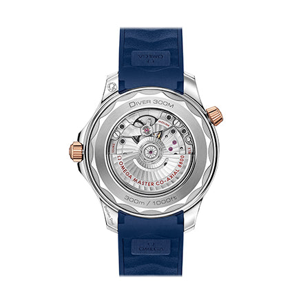 Omega Seamaster DIVER 300M CO‑AXIAL MASTER CHRONOMETER 42 MM 210.22.42.20.03.002