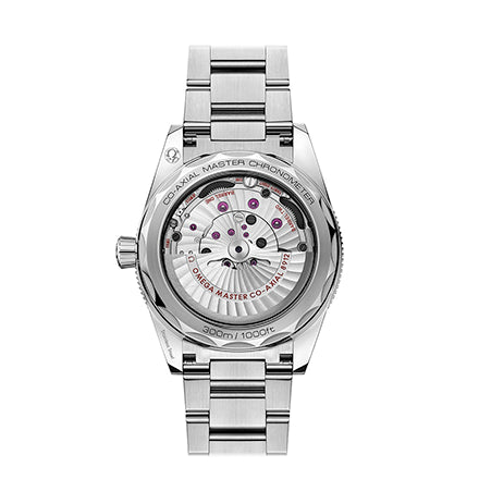Omega SEAMASTER 300 CO‑AXIAL MASTER CHRONOMETER 41 MM 234.30.41.21.01.001