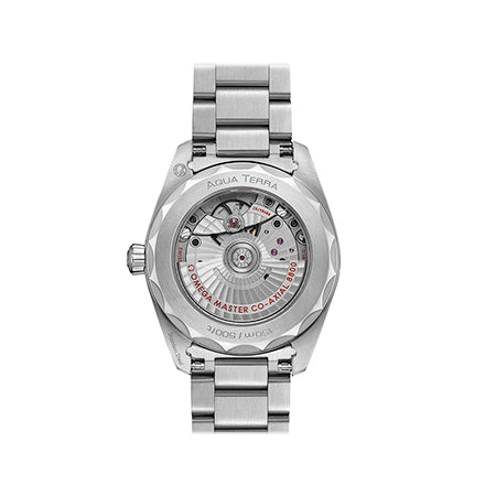 Omega SEAMASTER AQUA TERRA 150M CO‑AXIAL MASTER CHRONOMETER 38 MM 220.10.38.20.03.001