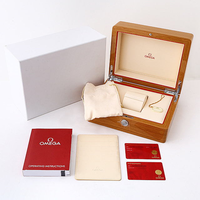 Omega Seamaster 300 Co-Axial Master Chronometer 41 MM 234.30.41.21.03.001